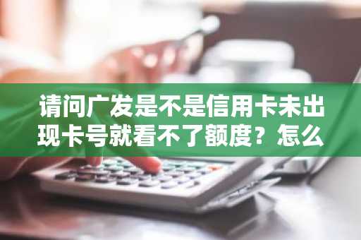 请问广发是不是信用卡未出现卡号就看不了额度？怎么查询额度啊？