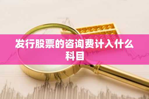 发行股票的咨询费计入什么科目