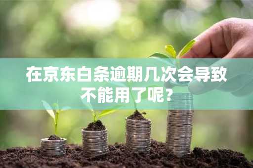 在京东白条逾期几次会导致不能用了呢？