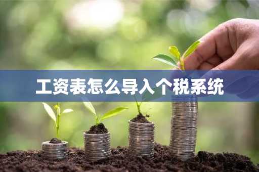 工资表怎么导入个税系统