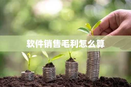 软件销售毛利怎么算