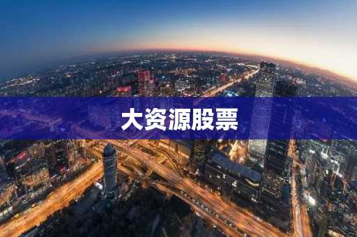 大资源股票