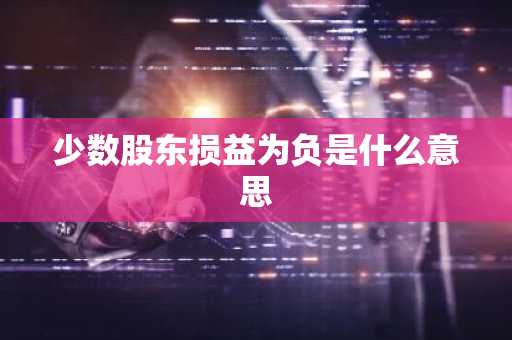 少数股东损益为负是什么意思