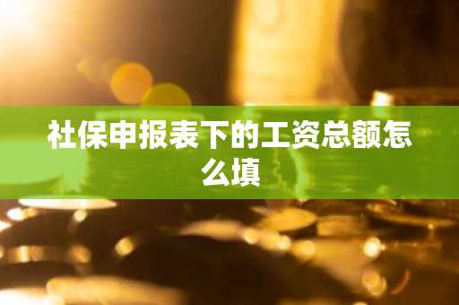社保申报表下的工资总额怎么填