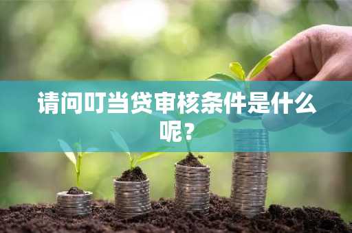 请问叮当贷审核条件是什么呢？