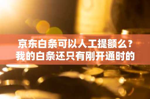 京东白条可以人工提额么？我的白条还只有刚开通时的额度，可不可以人为提高额度啊？