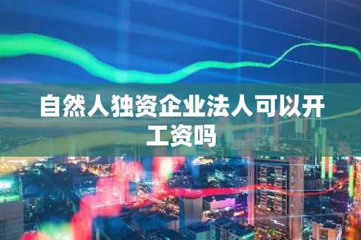 自然人独资企业法人可以开工资吗