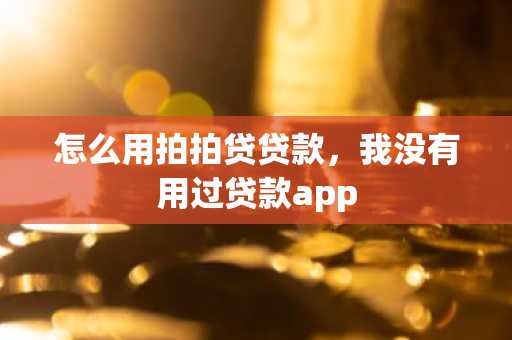怎么用拍拍贷贷款，我没有用过贷款app