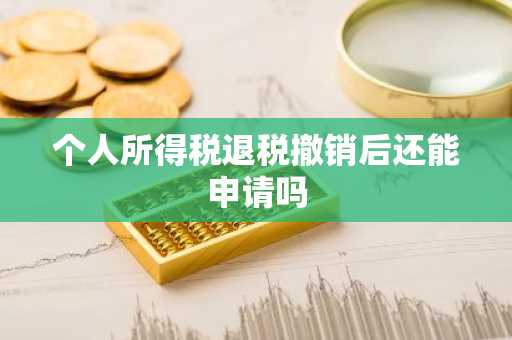 个人所得税退税撤销后还能申请吗