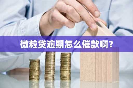 微粒贷逾期怎么催款啊？