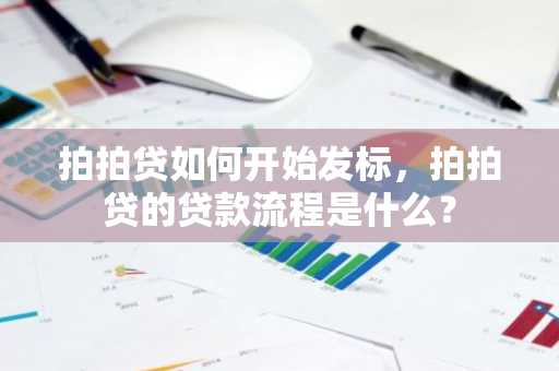 拍拍贷如何开始发标，拍拍贷的贷款流程是什么？