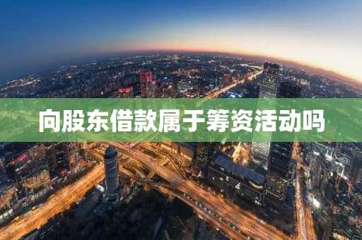 向股东借款属于筹资活动吗