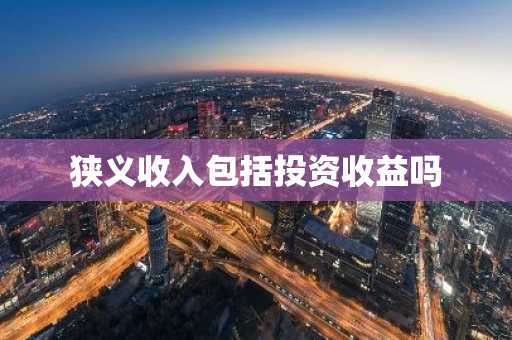 狭义收入包括投资收益吗