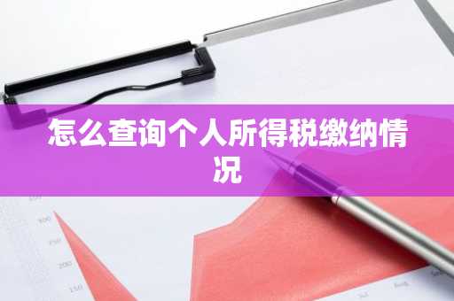 怎么查询个人所得税缴纳情况