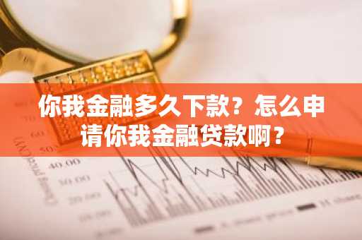 你我金融多久下款？怎么申请你我金融贷款啊？