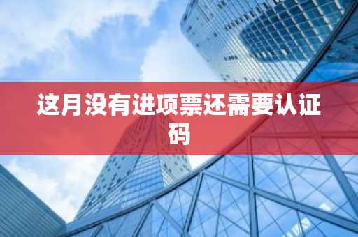 这月没有进项票还需要认证码
