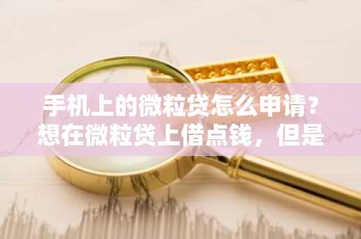 手机上的微粒贷怎么申请？想在微粒贷上借点钱，但是找不到它。