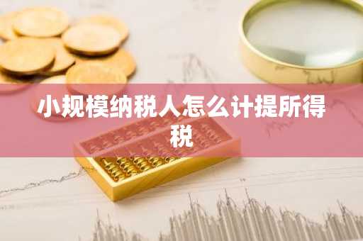 小规模纳税人怎么计提所得税