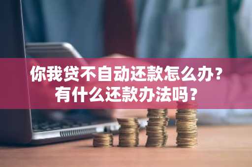 你我贷不自动还款怎么办？有什么还款办法吗？
