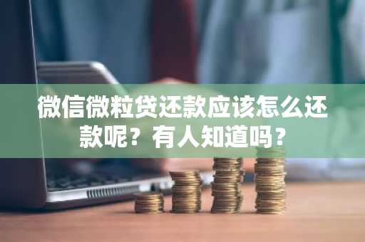 微信微粒贷还款应该怎么还款呢？有人知道吗？