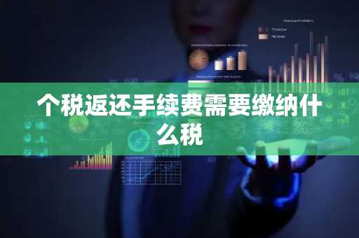 个税返还手续费需要缴纳什么税