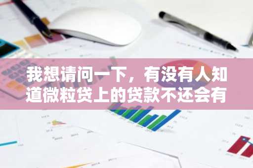 我想请问一下，有没有人知道微粒贷上的贷款不还会有什么后果吗？