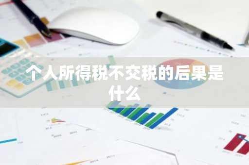 个人所得税不交税的后果是什么