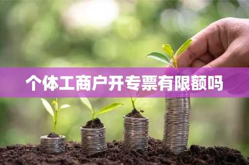 个体工商户开专票有限额吗