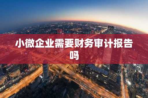 小微企业需要财务审计报告吗