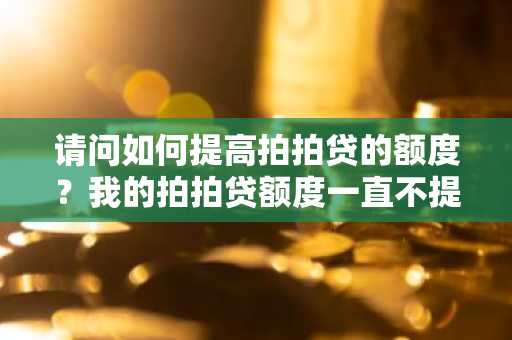请问如何提高拍拍贷的额度？我的拍拍贷额度一直不提升。