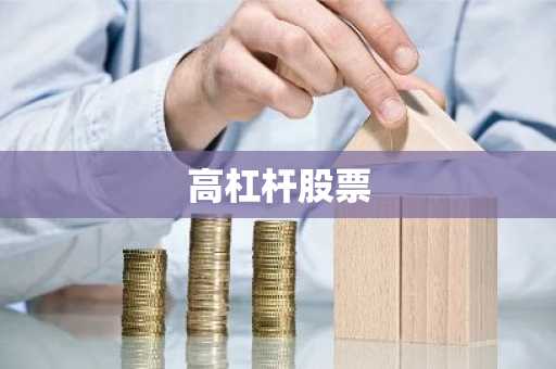 高杠杆股票