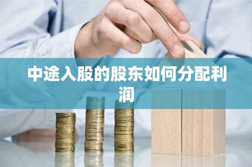 中途入股的股东如何分配利润