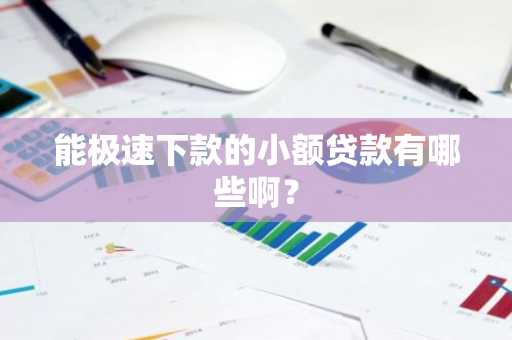 能极速下款的小额贷款有哪些啊？