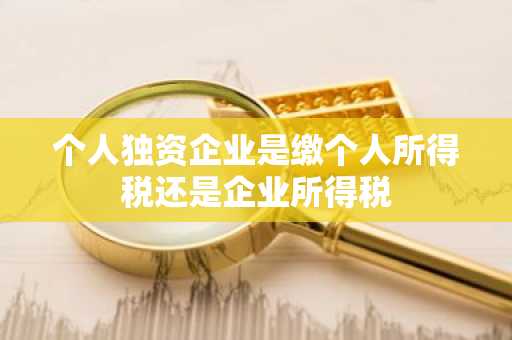 个人独资企业是缴个人所得税还是企业所得税