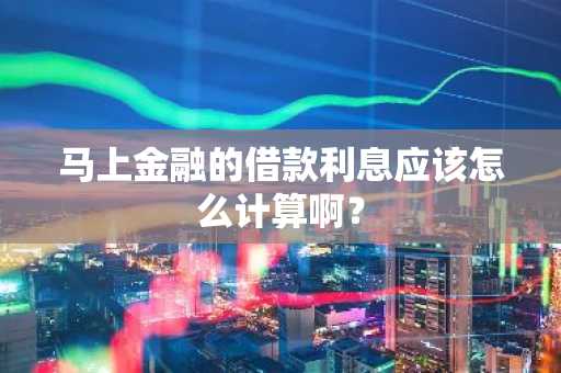 马上金融的借款利息应该怎么计算啊？