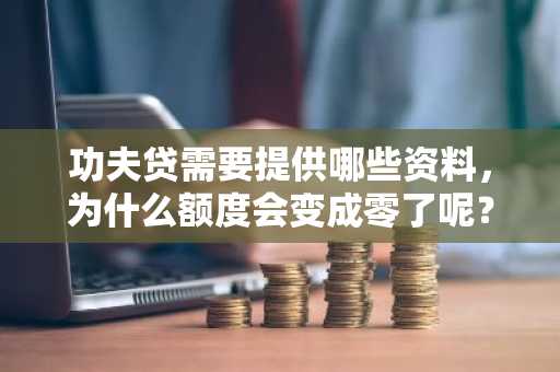 功夫贷需要提供哪些资料，为什么额度会变成零了呢？