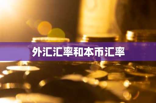 外汇汇率和本币汇率