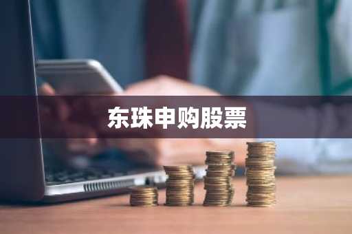 东珠申购股票