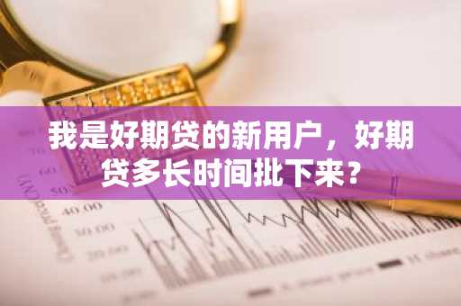 我是好期贷的新用户，好期贷多长时间批下来？