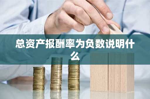总资产报酬率为负数说明什么