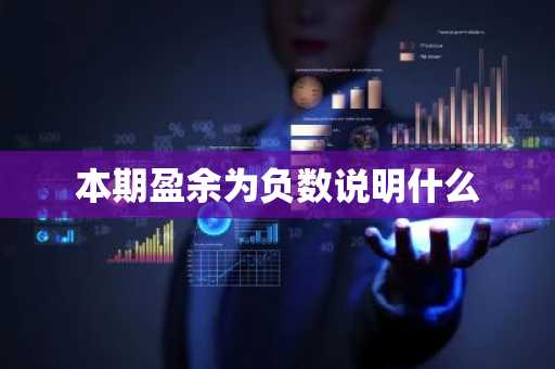 本期盈余为负数说明什么