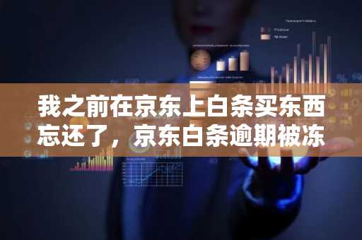 我之前在京东上白条买东西忘还了，京东白条逾期被冻结了怎么办