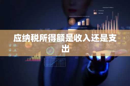 应纳税所得额是收入还是支出