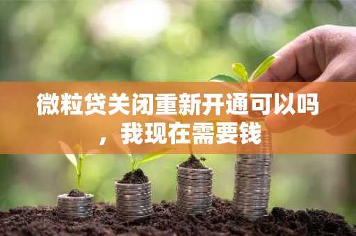 微粒贷关闭重新开通可以吗，我现在需要钱