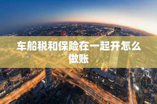 车船税和保险在一起开怎么做账