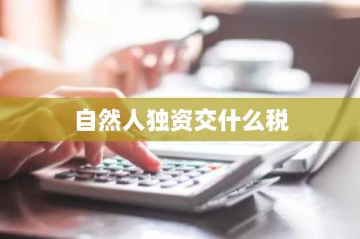 自然人独资交什么税