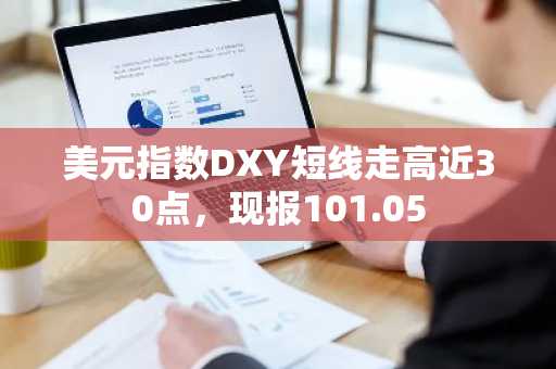 美元指数DXY短线走高近30点，现报101.05