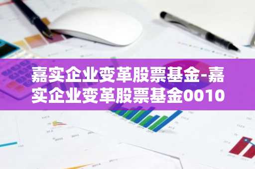 嘉实企业变革股票基金-嘉实企业变革股票基金001036