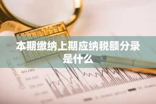 本期缴纳上期应纳税额分录是什么
