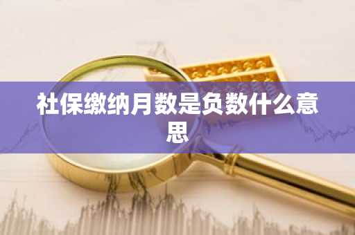 社保缴纳月数是负数什么意思
